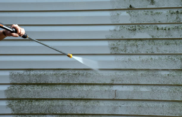 Best Local Pressure Washing Services  in Galena Park, TX