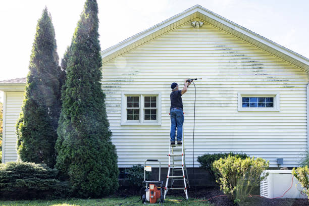 Best Pressure Washing Company Near Me  in Galena Park, TX