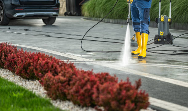 Best Commercial Building Pressure Washing  in Galena Park, TX