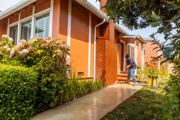 Best Commercial Building Pressure Washing  in Galena Park, TX