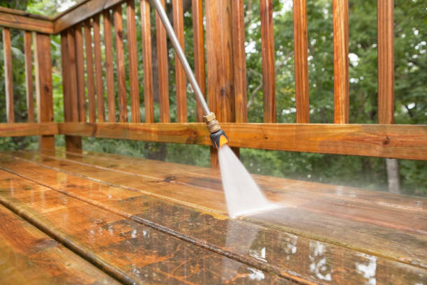 Best Roof Pressure Washing  in Galena Park, TX